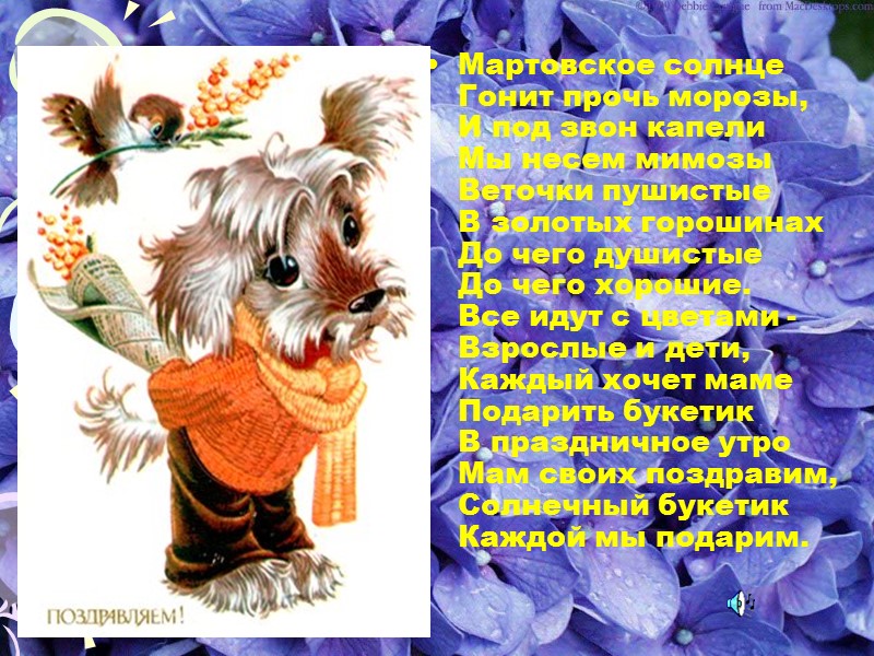 Мартовское солнце Гонит прочь морозы, И под звон капели Мы несем мимозы  Веточки